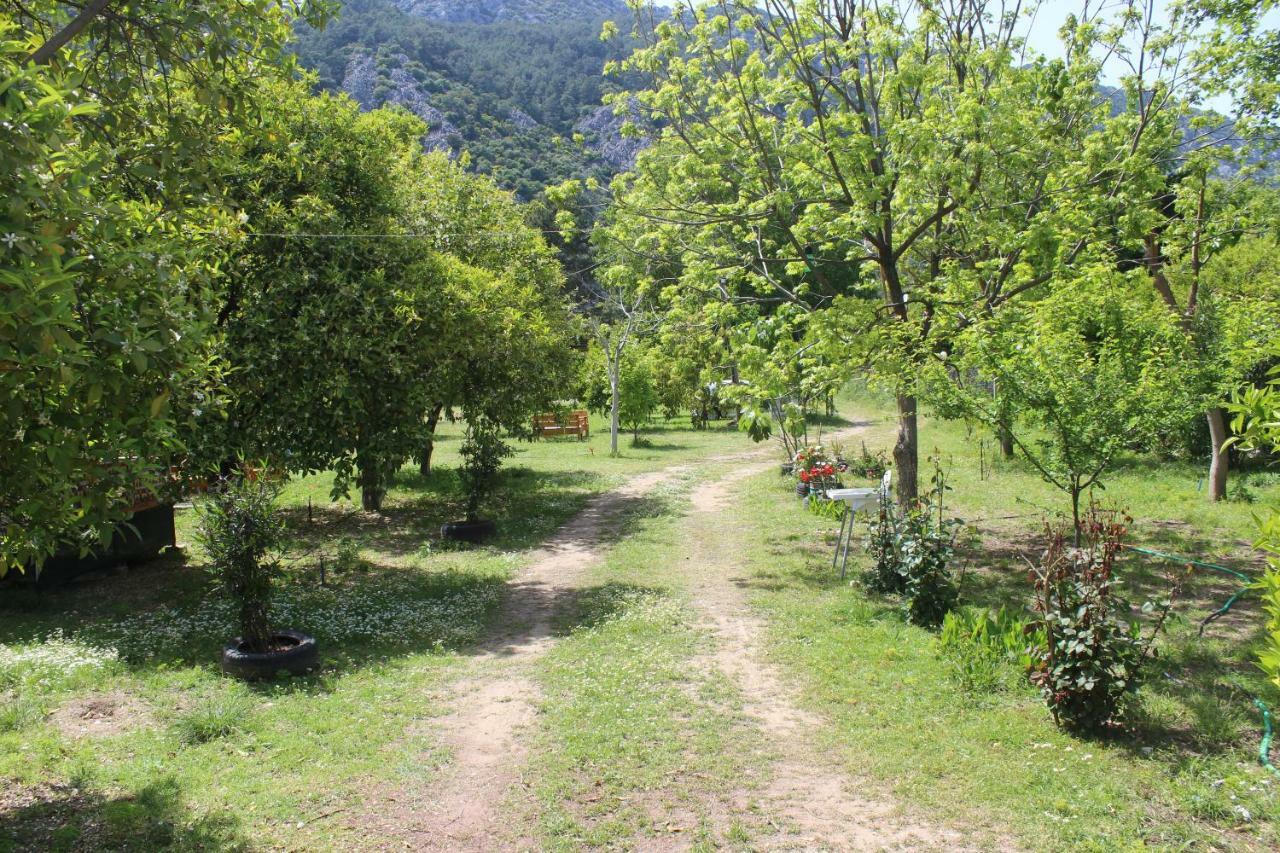 Sakli Bahce Pension Çıralı Kültér fotó