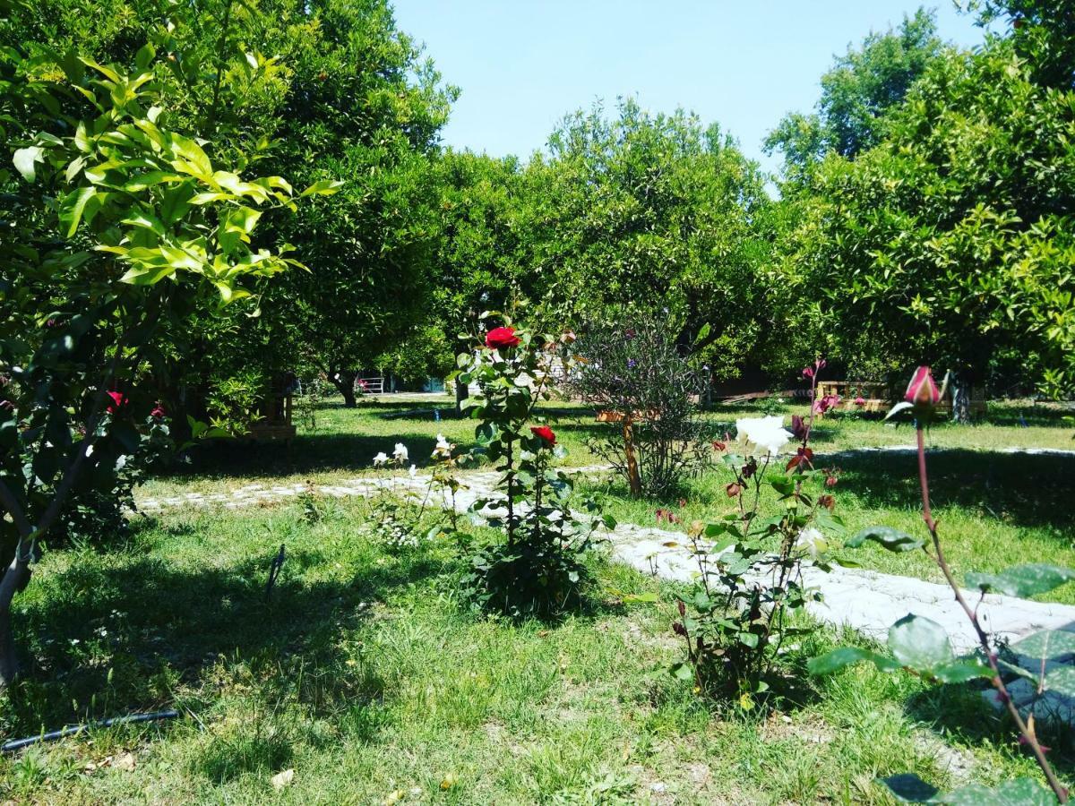 Sakli Bahce Pension Çıralı Kültér fotó